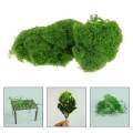 1Pack of 10g Model Static Grass Powder, Fake Grass for Miniature ,Terrain Landscape DIY Artificial, Sand Table Scenery Railway Layout. 