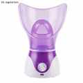 Home Spa Face /Nose Vapouriser Steamer. 