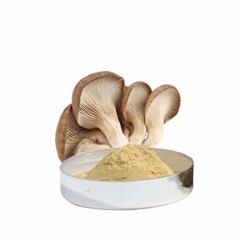 Oyester Dry Mushroom Mushroom Powder 500g Western Dry Mashroom powder