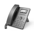 FLYINGVOICE P10 Entry-level Business IP Phone.