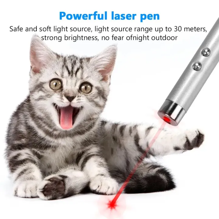 4mW%20Keychain%20Laser%20Pointer%202%20In%201%20Light%20Lazer%20Red%20Laser%20Lazer%20Pointer%20Pen%20+%20LED%20Light%20Torch%20Cat%20Dog%20Fun%20Toy%20No%20Battery%20-%20Image%202
