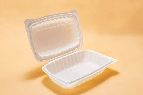 Disposable%20Lunch%20Box%20Plastic%20Food%20Take%20Out%20Container%208%20x%206%20inch-%2012%20%7C%2025%20%7C%2050%20Pieces%20-%20Image%202