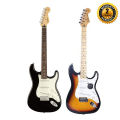 Fender Stratocaster Electric Guitar (Chinese version). 