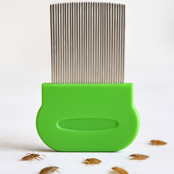Professional%20Stainless%20Steel%20big%20Nit%20Free%20Louse%20Nit%20Comb%20Terminator%20Lice%20Brush(mix%20color%201pcs)%20-%20Image%202