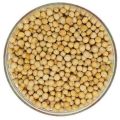 Double Pulses/Double Boot (Double) - 1Kg. 