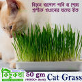 Cat Grass Seed - 50 gm/40000+ Seed For Cat and Other Animal Eating Grass.