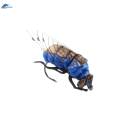 Fly Fishing Flies with Hooks, Lures, Artificial Baits for Perch, Trout, Fishing. 