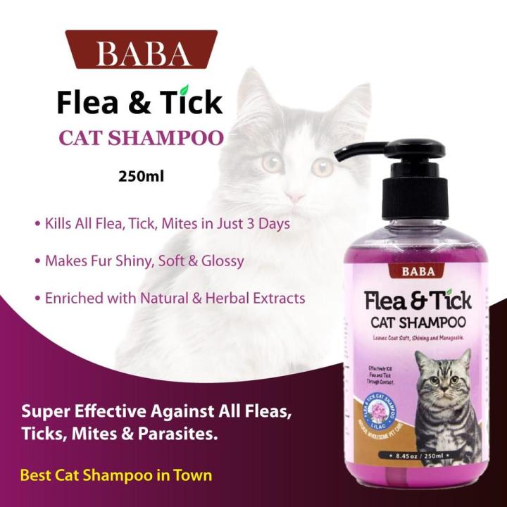 Flea And Mite Shampoo For Kitten With Flea Bite Dermatitis