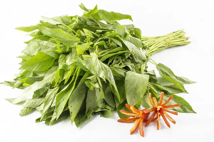 %E0%A6%AC%E0%A6%BE%E0%A6%B0%E0%A6%AE%E0%A6%BE%E0%A6%B8%E0%A6%BF%20%E0%A6%B8%E0%A6%AC%E0%A6%9C%E0%A6%BF%E0%A6%B0%20%E0%A6%95%E0%A6%AE%E0%A7%8D%E0%A6%AC%E0%A7%8B%20%E0%A6%AA%E0%A7%8D%E0%A6%AF%E0%A6%BE%E0%A6%95%20%E0%A6%AC%E0%A7%80%E0%A6%9C%20%E0%A7%A8%E0%A7%A6%E0%A7%A6%E0%A7%A6%20%E0%A6%AA%E0%A6%BF%E0%A6%B8%20(%E0%A6%B2%E0%A6%BE%E0%A6%B2%E0%A6%B6%E0%A6%BE%E0%A6%95,%E0%A6%AA%E0%A6%BE%E0%A6%B2%E0%A6%82%E0%A6%B6%E0%A6%BE%E0%A6%95,%E0%A6%AA%E0%A7%81%E0%A6%81%E0%A6%87%E0%A6%B6%E0%A6%BE%E0%A6%95,%E0%A6%A7%E0%A6%A8%E0%A6%BF%E0%A7%9F%E0%A6%BE%E0%A6%AA%E0%A6%BE%E0%A6%A4%E0%A6%BE,%E0%A6%95%E0%A6%B2%E0%A6%AE%E0%A6%BF%E0%A6%B6%E0%A6%BE%E0%A6%95,%E0%A6%A1%E0%A6%BE%E0%A6%81%E0%A6%9F%E0%A6%BE%E0%A6%B6%E0%A6%BE%E0%A6%95)%20-%20Image%202