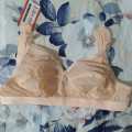 High Premium Pure Cotton Bra.