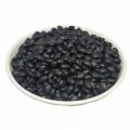 Black kidny Beans/ Kalo rajma -100gm. 