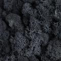 Natural Decoration Norwegian Reindeer Moss Preserved Dried Craft Flower 500g Box.