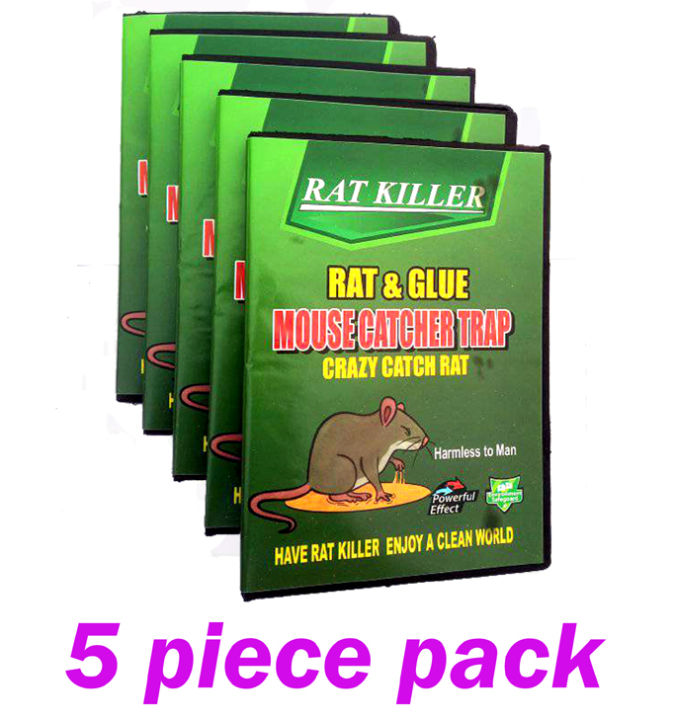 Rat & Mouse , idur Marar CD , Glue Trap 5 Pieces Combo