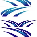 Premium Quality - Enchanting - tata truck sticker - Exceptionally beautiful and finely crafted - Suggesting Enduring Appeal. 