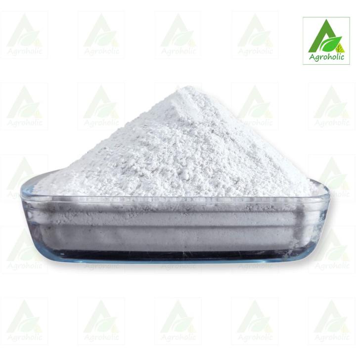 Perlite Powder ( Premium Quality ) - 100 gm