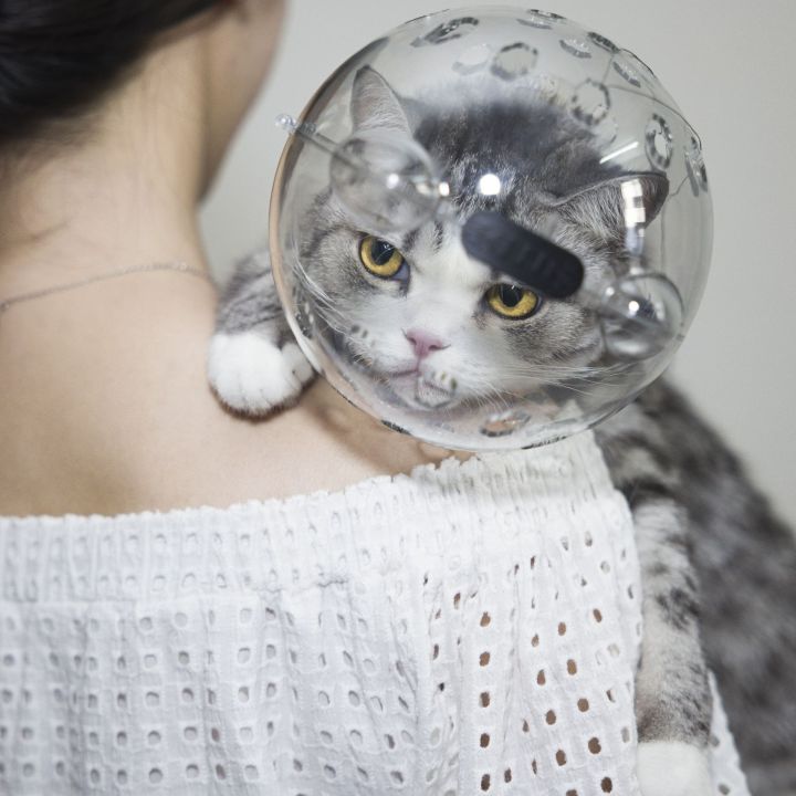 Cat%20space%20hood%20muzzle%20anti-bite%20collar%20anti%20licking%20cat%20protection%20hood%20breathable%20shame%20hood%20elizabeth%20ring%20-%20Image%202