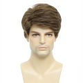 BCHR Mens Wigs Short Brown Wig Men Natural Fluffy Cosplay Costume Synthetic Mens Wig for Male Guy. 
