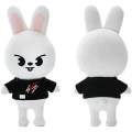 【Yurui】Cartoon Stray Kids Skzoo 21CM Peluche Stuffed Doll Wolf Chan Leebit Dwaekki Jineret Figure Fans Gift.