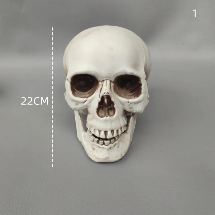 size%20Skull%20prop%20Creepy%20Lifelike%20Resin%20material%20Skeleton%20head%20decoration%20Detachable%20jaw%20Realistic%20looking%20skulls%20for%20Halloween%20-%20Image%203
