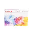 Camel Artist Oil Pastels  Assorted pack of 25 shades. 