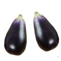 Kids Teaching Toy Foam Artificial Eggplants Soft Lifelike Simulation Eggplants Handicrafts Eggplants Model Window Display Props.