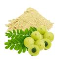 Amloki Powder/Emblic Powder=100gm. 
