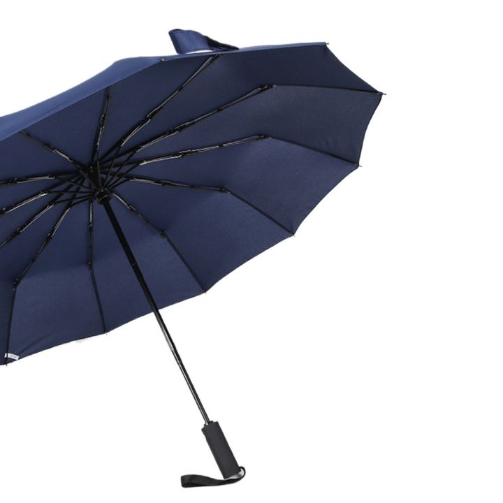 Umbrella%20BMW%20Motorsport%20/%20Chata%2012%20sikh%20auto%20on%20and%20auto%20close%20-%20Image%209