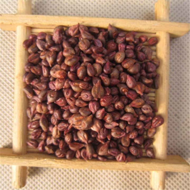 Finger%20Grape%20Seed%20Delicious%20Potted%20Fruit%20Grapes%20Plant%20Seeds%20For%20Home%20And%20Garden%20Red-%2020%20Pieces.%20-%20Image%203