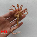 Fire Girl FG027 FG028 1/6 Alien Chestburster Facehugger Figure Model Scene Accessories Props Fit 12'' Soldier Action Figure Body. 