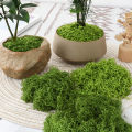 1PC DIY Artificial Fresh Green Moss Lawn Micro Landscape Silk Moss Wedding Centerpieces Garden Terrariums Decoration Fake Moss Natuo. 