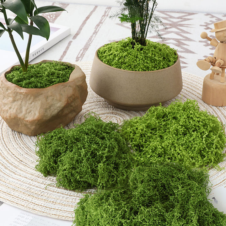 1PC%20DIY%20Artificial%20Fresh%20Green%20Moss%20Lawn%20Micro%20Landscape%20Silk%20Moss%20Wedding%20Centerpieces%20Garden%20Terrariums%20Decoration%20Fake%20Moss%20Natuo%20-%20Image%205