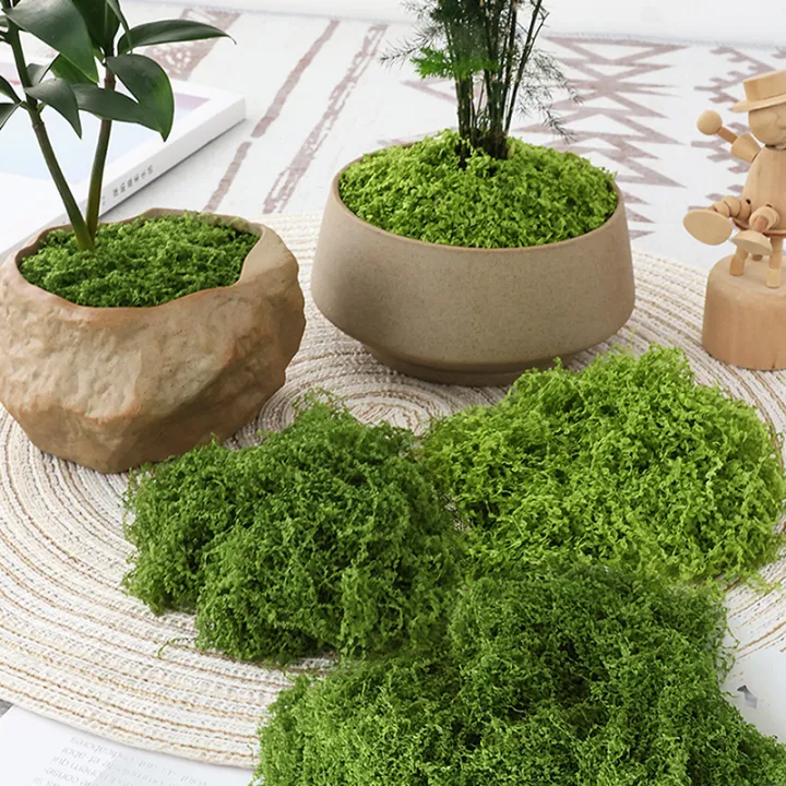 %E3%80%90Exclusive%20Discount%E3%80%91%201PC%20DIY%20Artificial%20Fresh%20Green%20Moss%20Lawn%20Micro%20Landscape%20Silk%20Moss%20Wedding%20Centerpieces%20Garden%20Terrariums%20Decoration%20Moss%20Natuo%20-%20Image%206