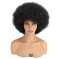 70's Afro Wigs for Black Women Short Afro Kinky Curly Wig Female Synthetic Hair Blonde Wig With Bang for Party Cosplay Halloween. 