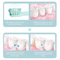 Sonic Electric Toothbrush D8081 Waterproof USB Type-c Rechargeable Toothbrushes 2 Heads.