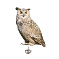 Acrylic bird repeller simulation owl reflective bird repeller. 