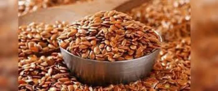 Brown%20Flax%20Seeds%20(Tishi%20Seed)-500Gmn(Clean)%20-%20Image%203