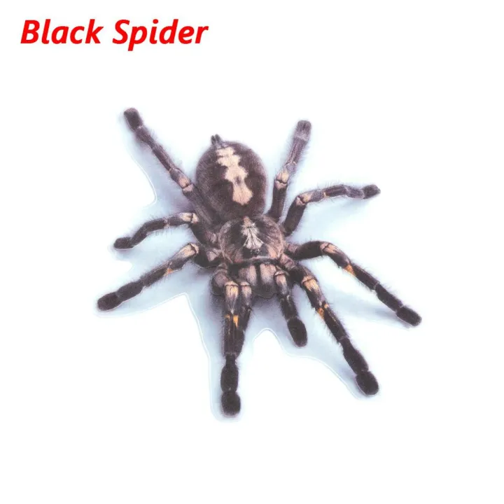 【Mary DAI Store】Car Sticker Scratch Cover 3D Spider Scorpion Lizard Crawling Vehicle Decorative Automobiles Exterior Accessory