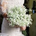 Artificial Silk Gypsophila Baby's Breath Flower Wedding Bouquet Decor - Home Decoration Item.