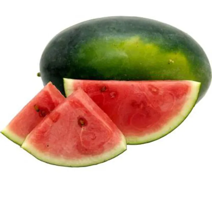 python lambda function in hindi | आसान... Hybrid Sweet Watermelon Seeds (তরমুজ বীজ) -10 Pcs. | Daraz.com.bd