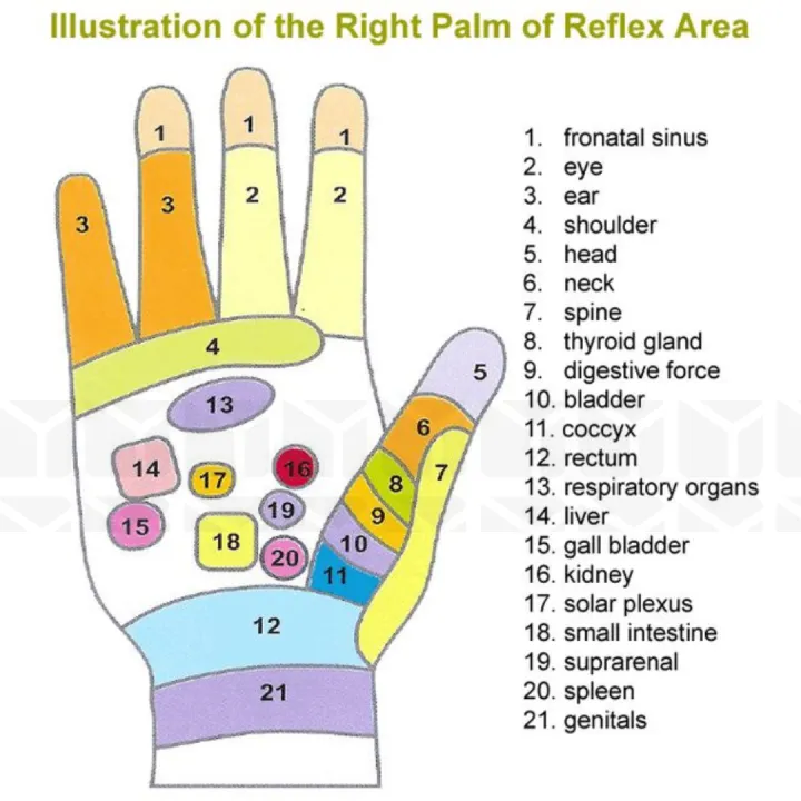 Acu%20Hand%20Roller%20Massager%20-%20Image%204