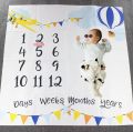 Newborn Baby Monthly Growth Milestone Blanket Photography Accessories for Rug Baby Boy Girls Photography Props Background Cloth.