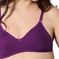 Polycotton Non-Wired Bra & Panty Set Non Padded for Women -- Purple. 