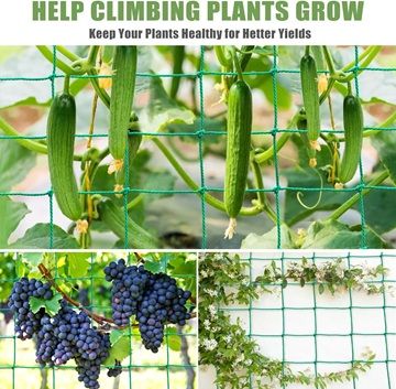 Plastic%20Macha%20Net%20%7C%20Long%20Lasting%7C%20Fresh%20and%20Perfect%20Measurrment%20for%20Roof%20Garden%20and%20Professional%20Gardener.%20-%20Image%203