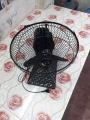 Sony 12" High Speed Moving Table Fan (Black). 