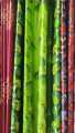 Satin Curtain- Red,Maroon,Golden and White From Golden Plus. 