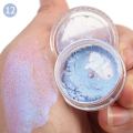 12 Colors Polarized Eyeshadow Powder Long Lasting Waterproof Pearlescent Glitter Matte Green Pink Blue Loose Powder Eyes Makeup.
