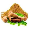 Tamarind Seed Powder 200Gm. 