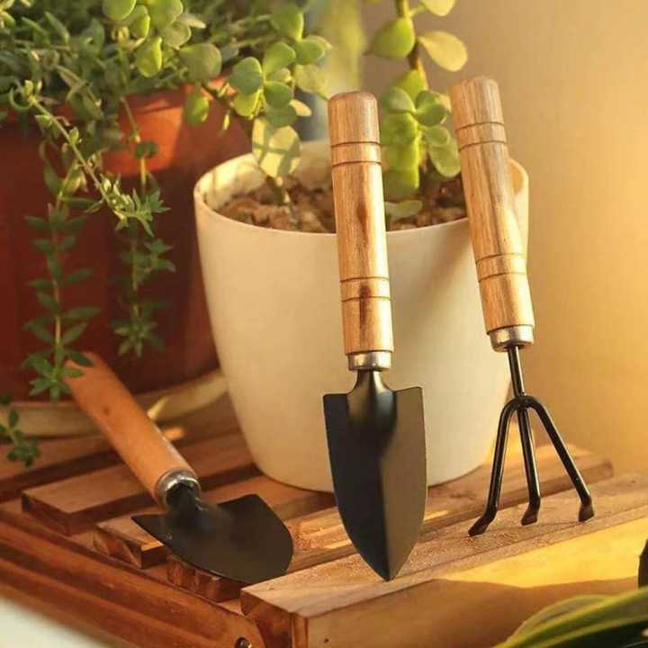 Garden%20Tools%20Set%203Pcs%20Mini%20Garden%20Tools%20Small%20Shovel/Rake/Spade%20for%20Plant%20Potted%20Transplanting%20Flowers%20and%20Digging%20-%20Image%205