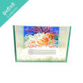 Glass Made Deshi Aquarium For Fish (Small Size 9x6x6 Inches).