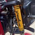 Front Suspension Fork Sticker for Pulsar motorcycle. Golden 2 Pcs. 
